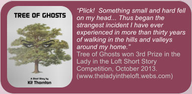 �Plick!  Something small and hard fell on my head... Thus began the strangest incident I have ever experienced in more than thirty years of walking in the hills and valleys around my home.� Tree of Ghosts won 3rd Prize in the Lady in the Loft Short Story Competition, October 2013. (www.theladyintheloft.webs.com)